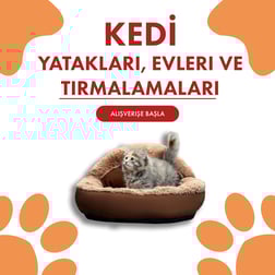 Kedi Yatakları, Evleri ve Tırmalamaları